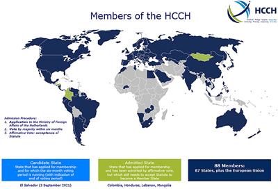 International Child Abduction: The Complexities of Forensic Psychiatric Assessments Before the Hague Convention